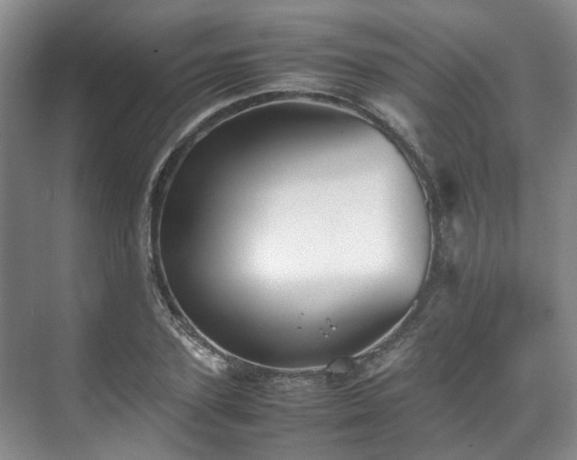 X0000070870931200606191338
