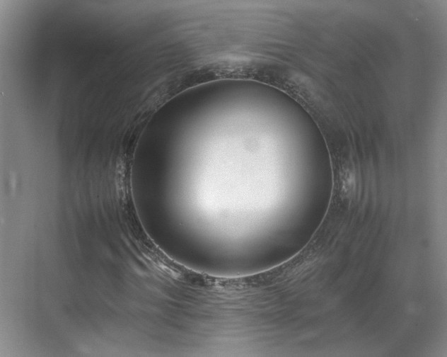 X0000070870964200606191338