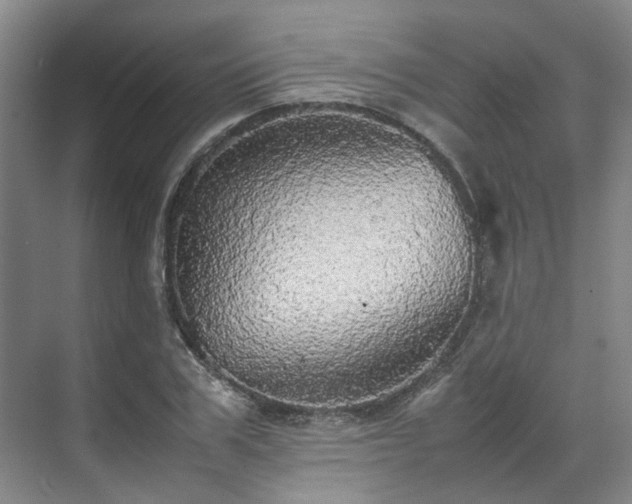 X0000070870979200606191338