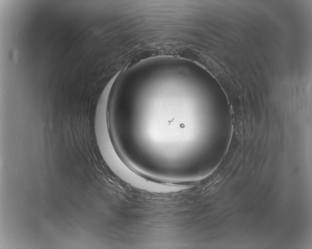 X0000070871010200606191336