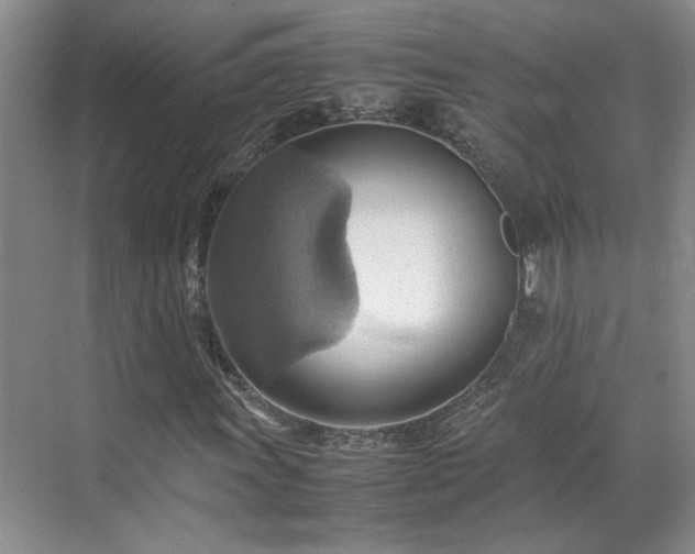 X0000070871011200606191336