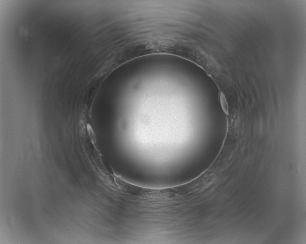 X0000070871012200606191336