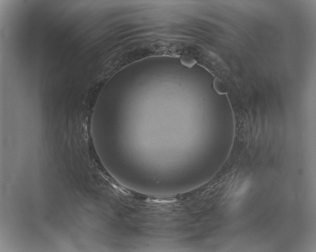 X0000070871013200606191337