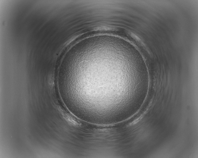 X0000070871017200606191337