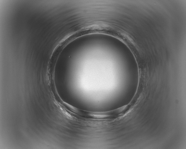 X0000070871018200606191337