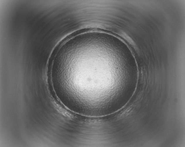 X0000070871020200606191337