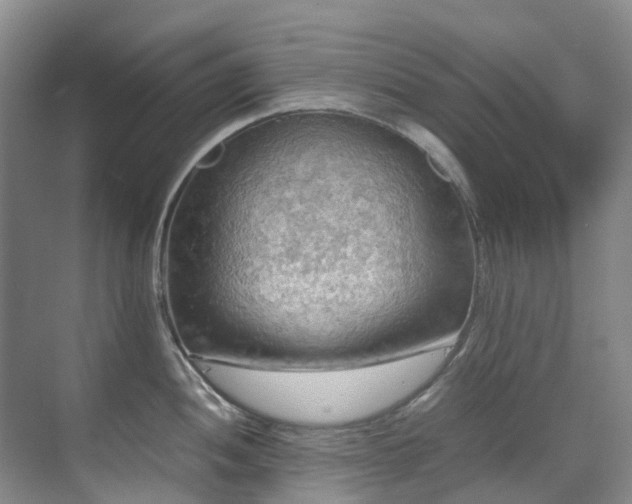 X0000070871052200606191337