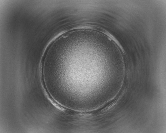 X0000070871053200606191337