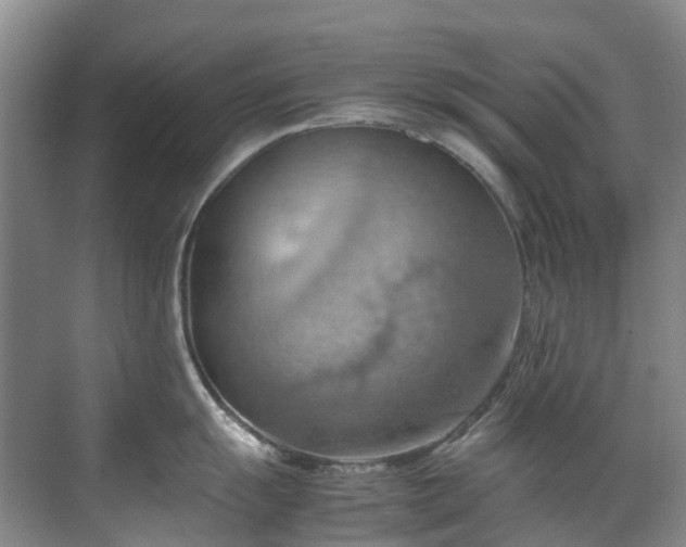 X0000070871055200606191337