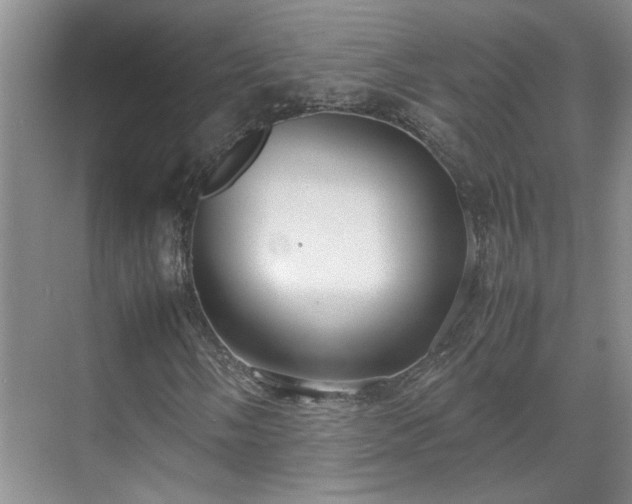 X0000070871058200606191336