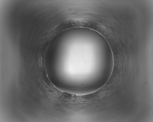 X0000070871061200606191336