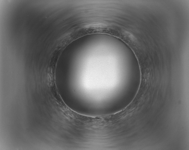 X0000070871062200606191336