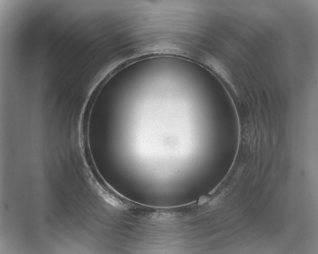 X0000070871082200606191336