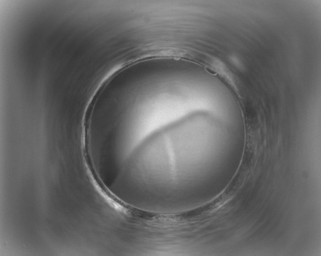 X0000070871095200606191336