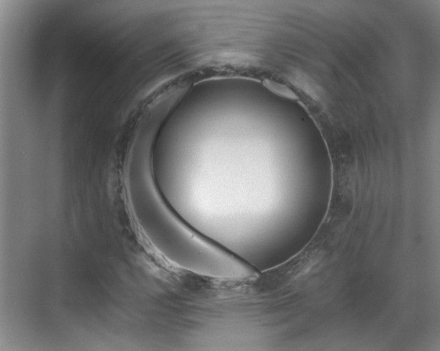 X0000070871112200606191335