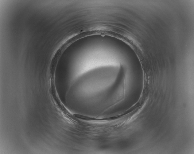 X0000070871117200606191335