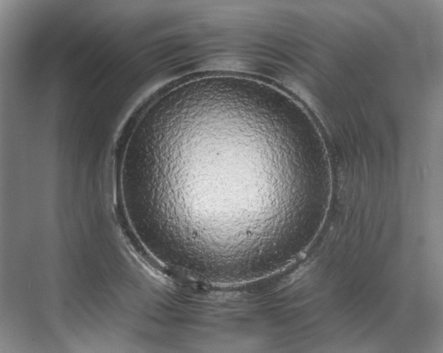 X0000070871123200606191335