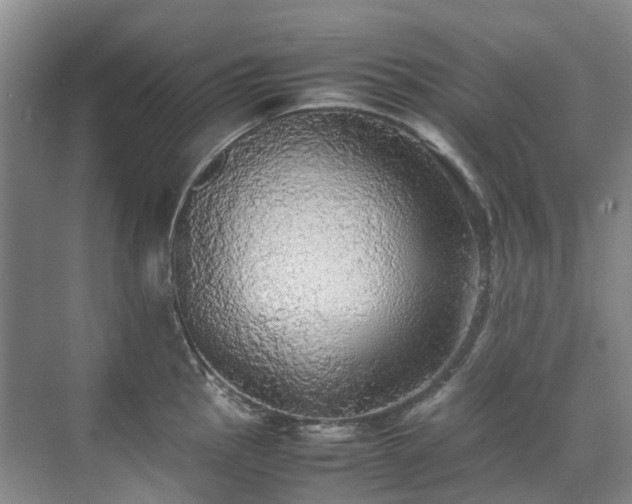 X0000070871145200606191336