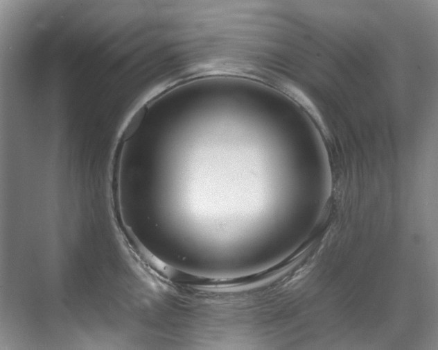 X0000070871146200606191336