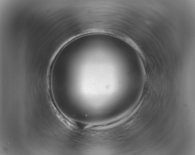 X0000070871148200606191336