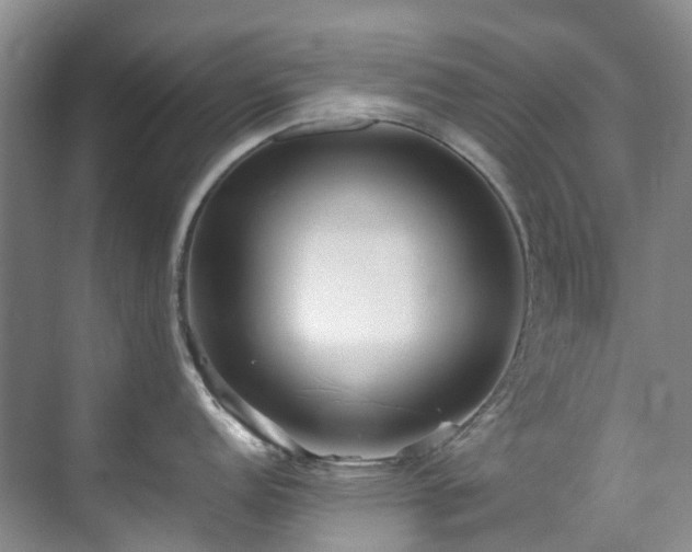 X0000070871152200606191336