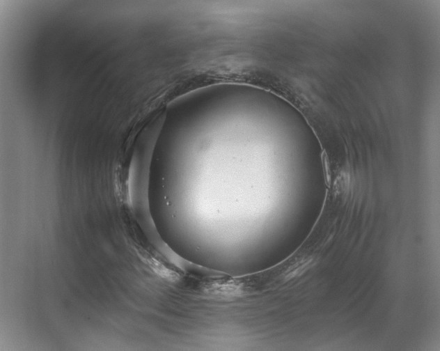 X0000070871156200606191335