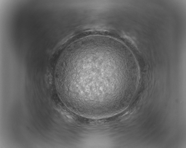 X0000070871159200606191335