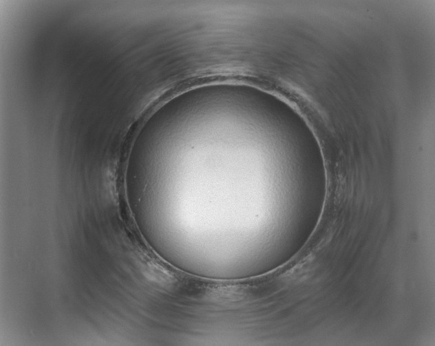 X0000070871162200606191335