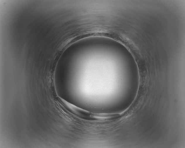 X0000070871169200606191335