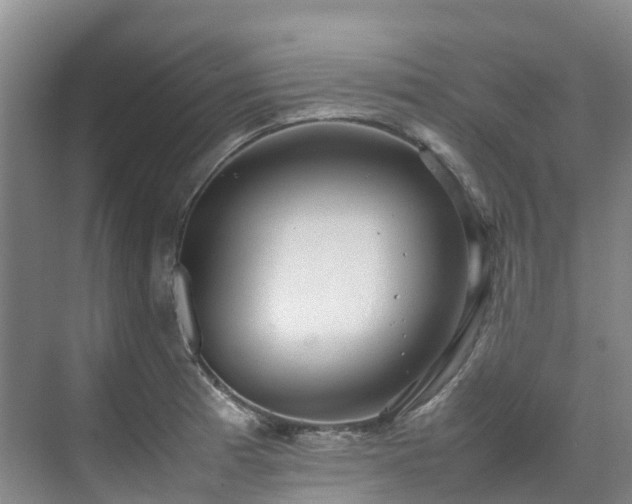 X0000070871185200606191334
