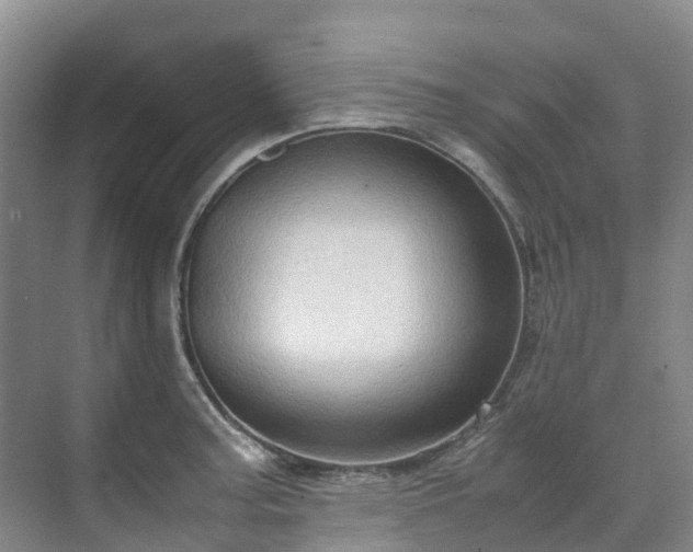 X0000070871187200606191334
