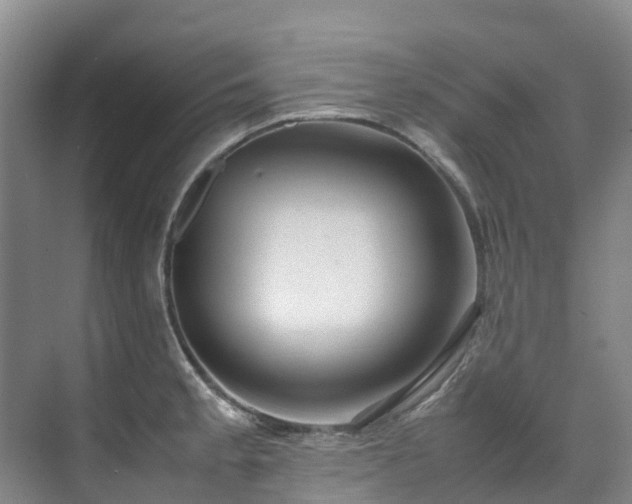 X0000070871189200606191334