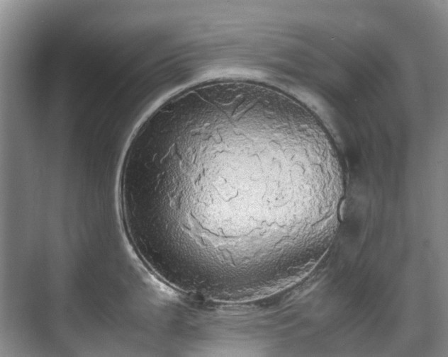 X0000070871199200606191334