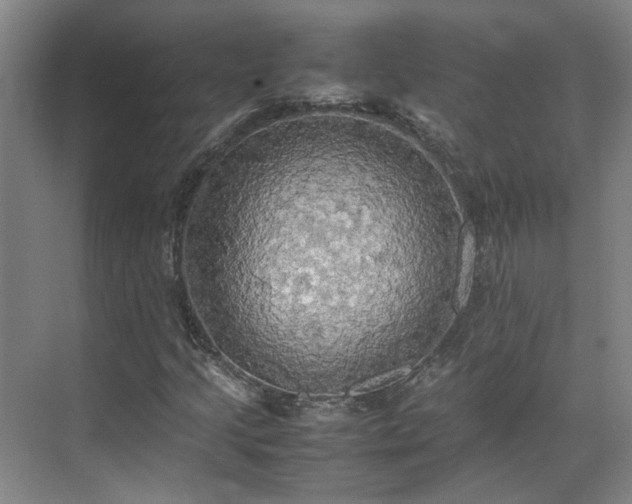 X0000070871205200606191333
