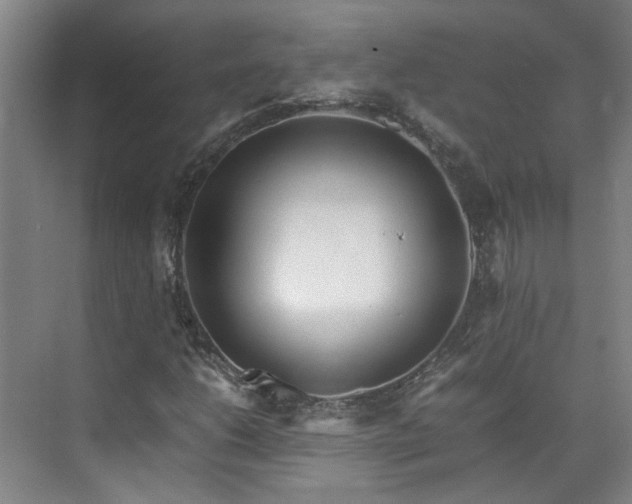 X0000070871206200606191333