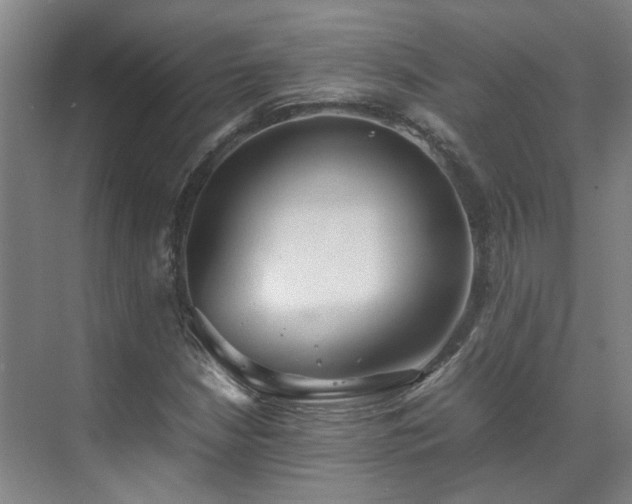 X0000070871210200606191333