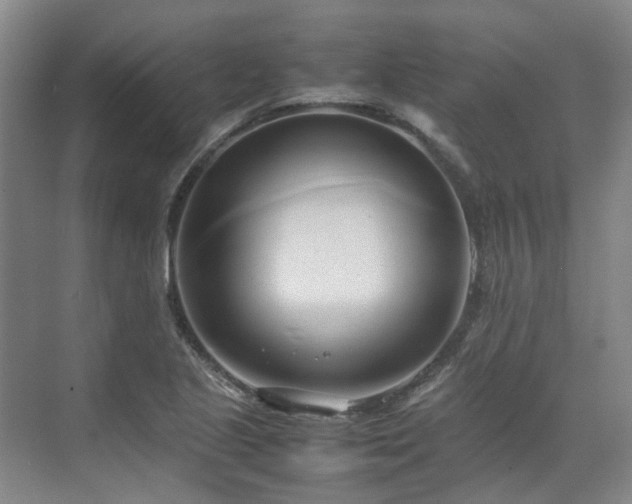 X0000070871221200606191334