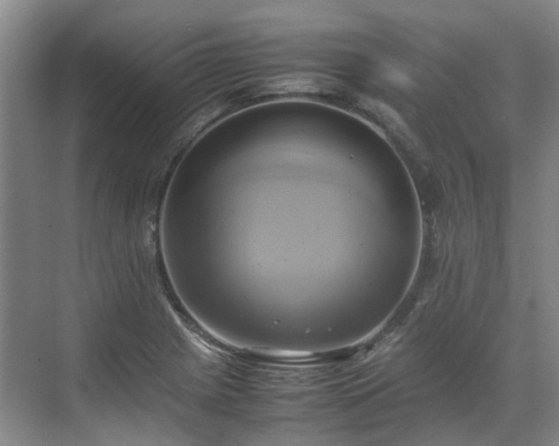 X0000070871225200606191334