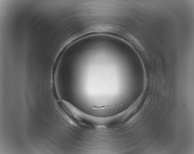 X0000070871226200606191334
