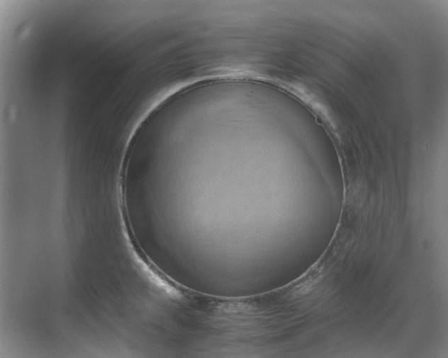 X0000070871239200606191334