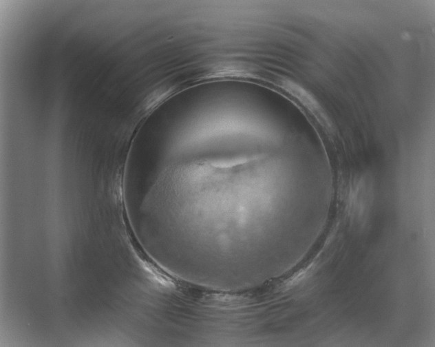X0000070871241200606191334