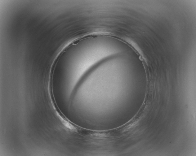 X0000070871245200606191334