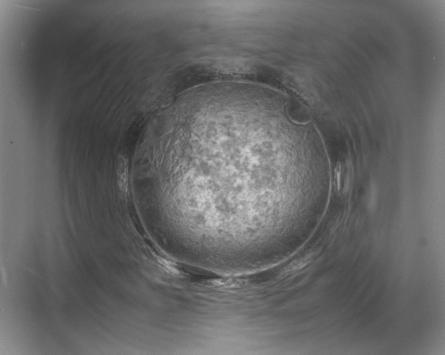X0000070871251200606191333