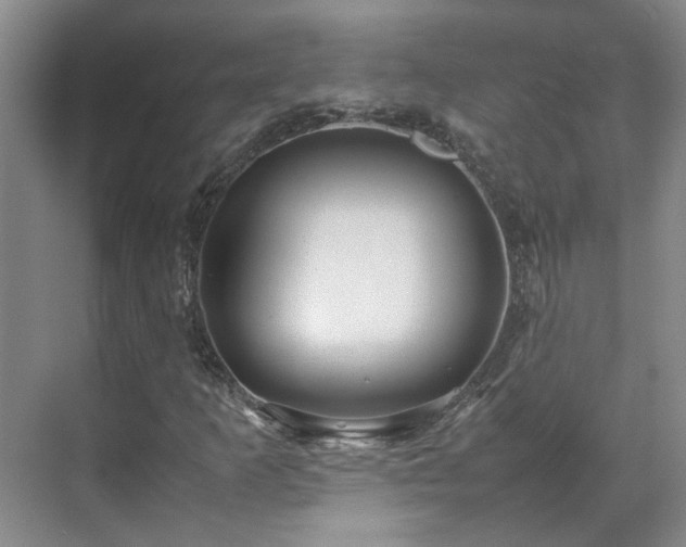 X0000070871253200606191333