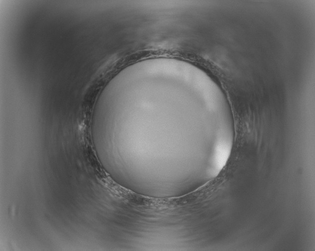 X0000070871254200606191333
