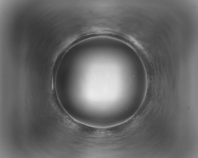 X0000070871269200606191333