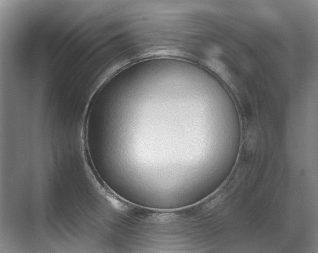 X0000070871282200606191333