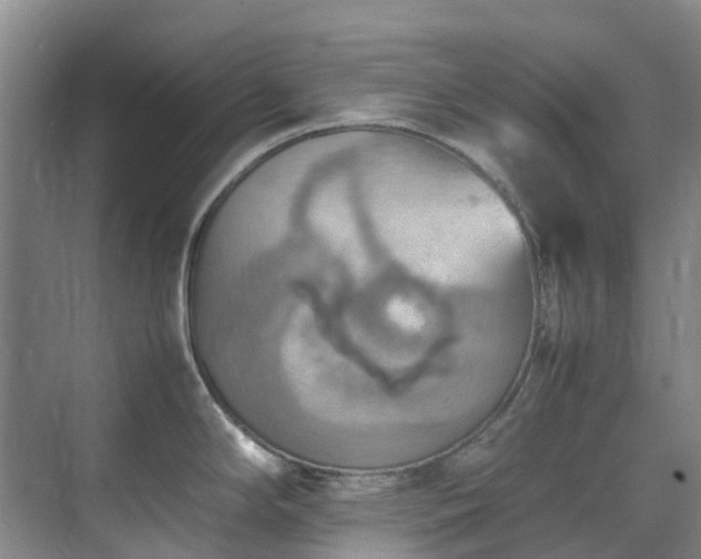 X0000070871294200606191332