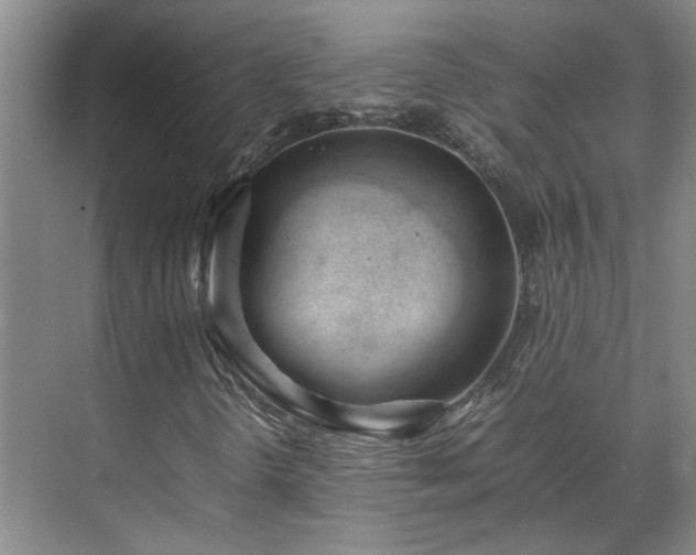 X0000070871298200606191332