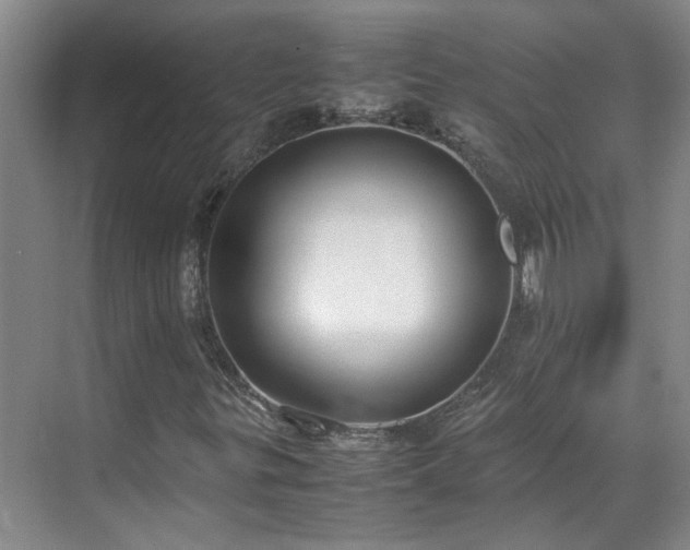 X0000070871299200606191332